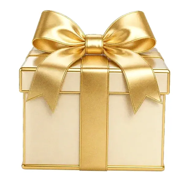 Wrapped gift box — Fortunica